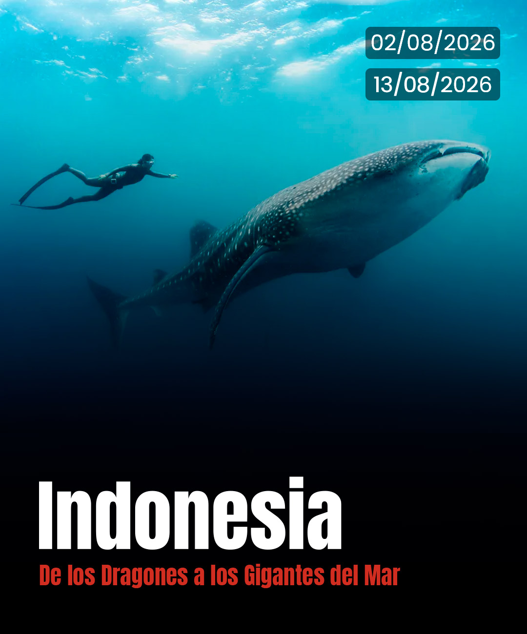 viajes en moto organizados