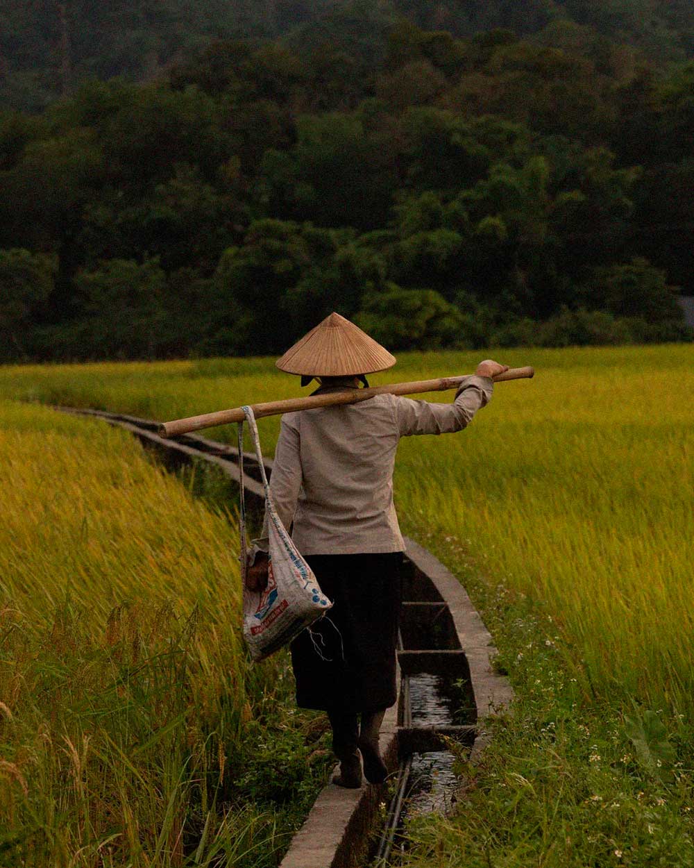 viaje en moto vietnam