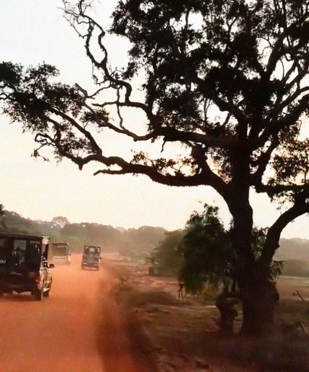 viaje-moto-sri-lanka-6