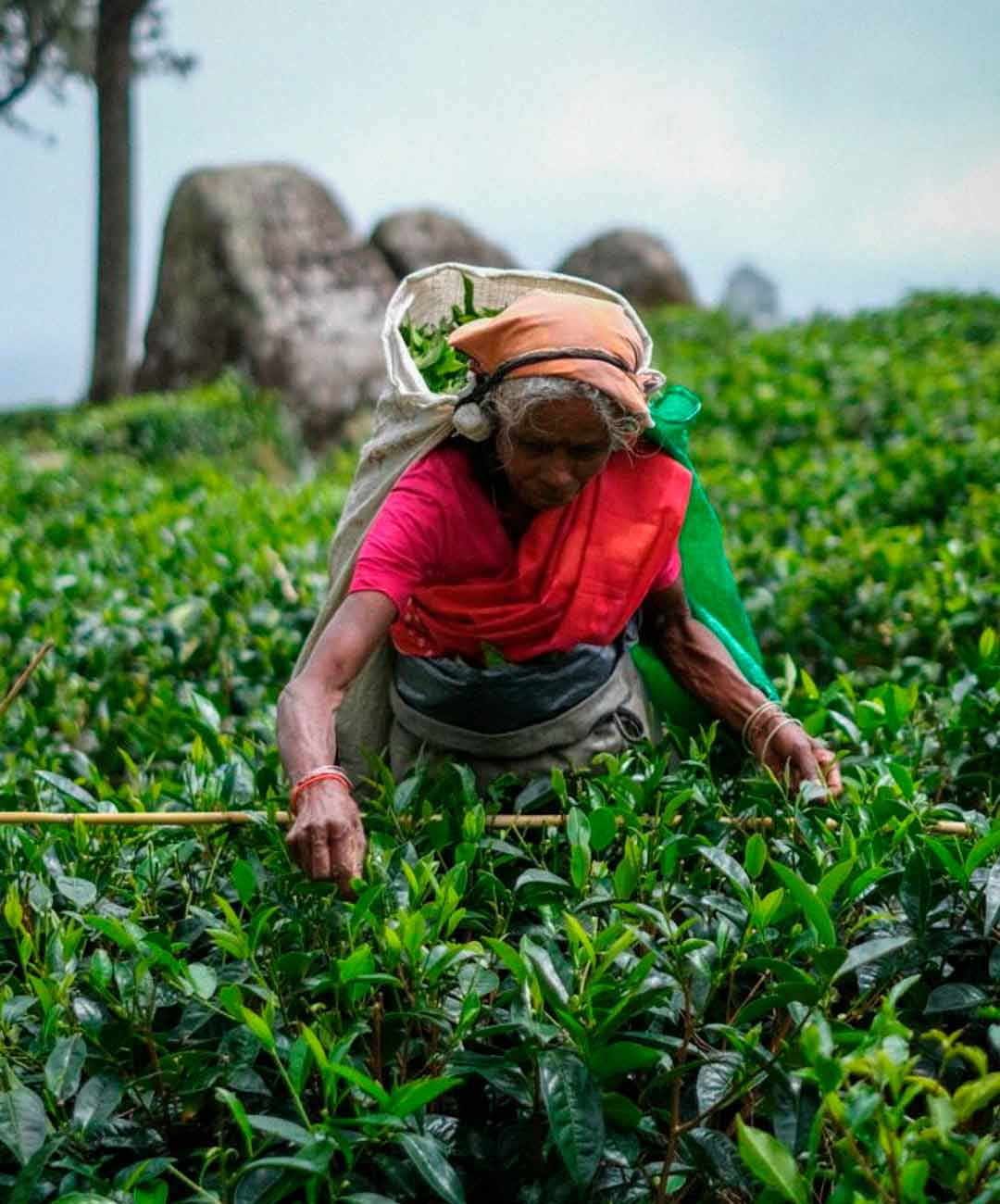 viaje moto sri lanka 6