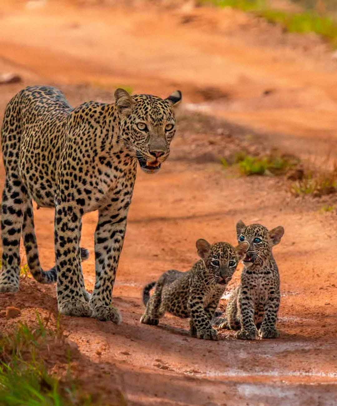 viaje moto sri lanka 7